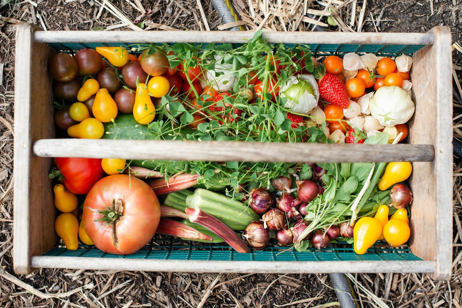 Une cagette de légumes du marché
